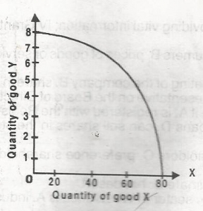 How many units of good X is produced for 8 units of commodity Y?
