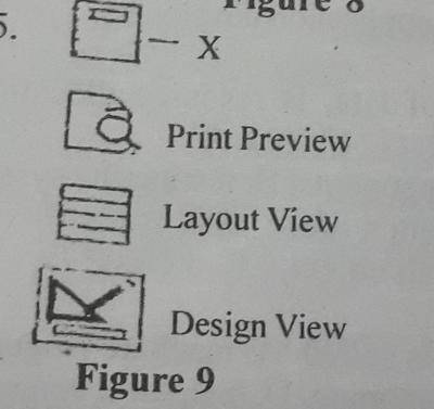 The part of the MS Access interface labelled X in Figure 9 is called 



