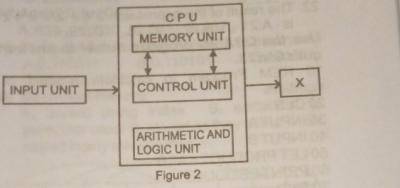 The part labelled X in the figure above is called?
