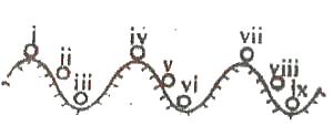 The diagram above represents balls in an undulating surface. Which of the following option represents positions of stable equilibrium?
