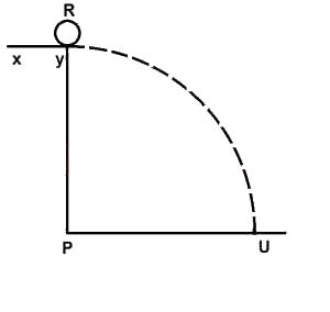 An object R leaves a platform XY with a horizontal velocity of 7m-1 and lands at U. lf it takes the same object 0.3s to fall freely from Y to P, calculate the distance PU.(Take g = 10ms-2)
